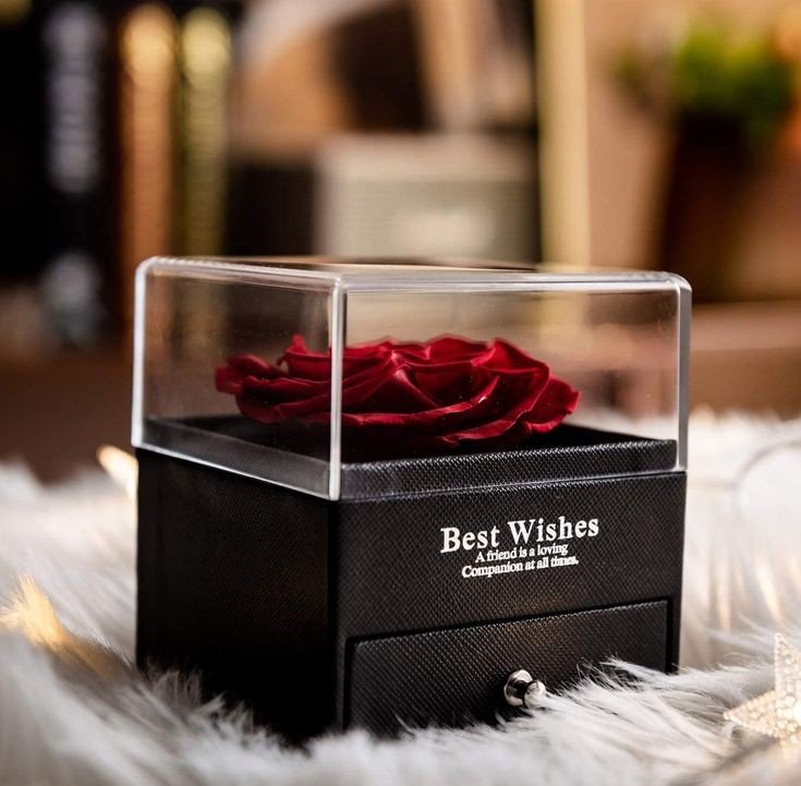 Kit Rosa Eterna com Colar "Eu Te Amo" em 100 Idiomas
