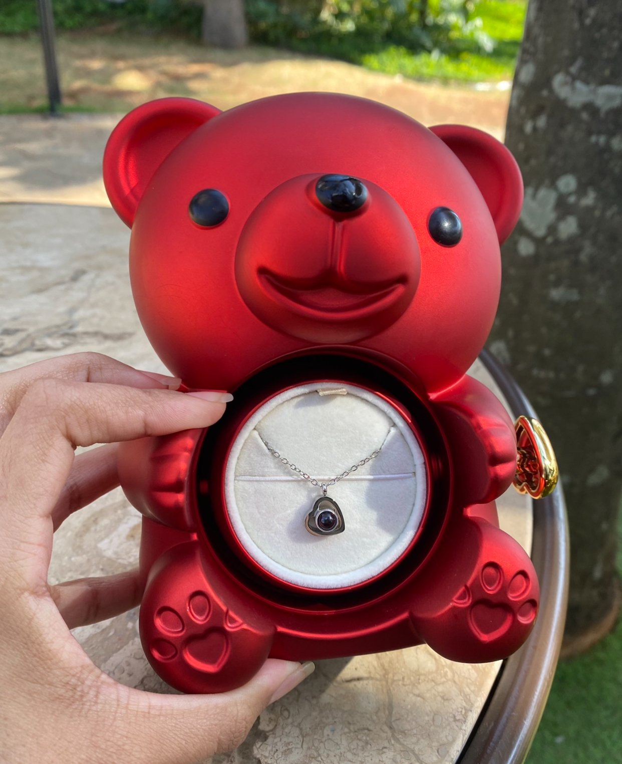 Ursinho Giratório com Rosa Eterna e Colar com Projeção de Foto