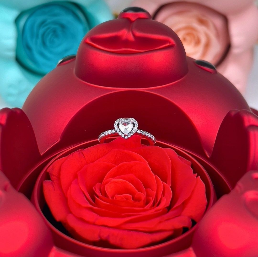 Ursinho Giratório com Rosa Eterna + Anel Solitário com Pedra